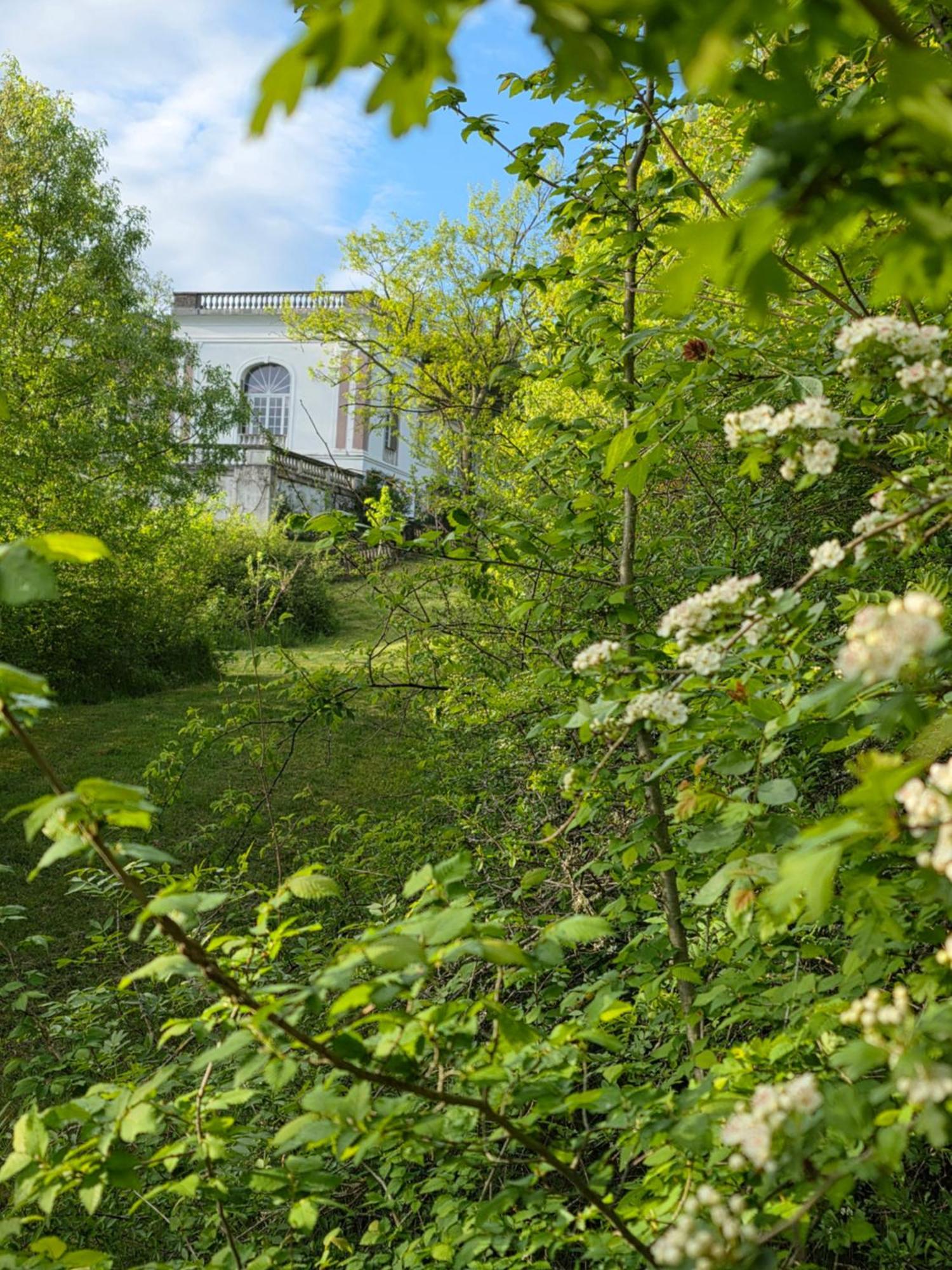Chateau De Pourpry Damiatte 외부 사진